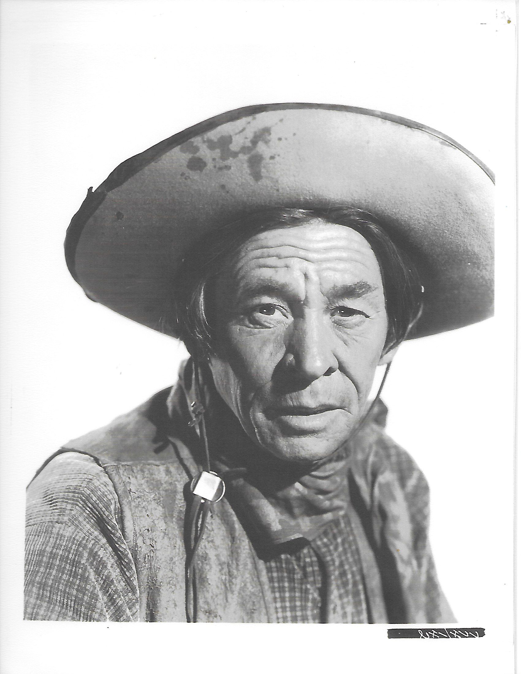 Charles Stevens CineCinéfilos